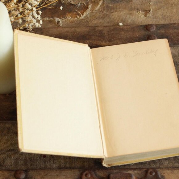 Vintage 1900s Book, "The Last Trail" by Zane Grey, Published by A.L. Burt Co - Picture 5 of 10